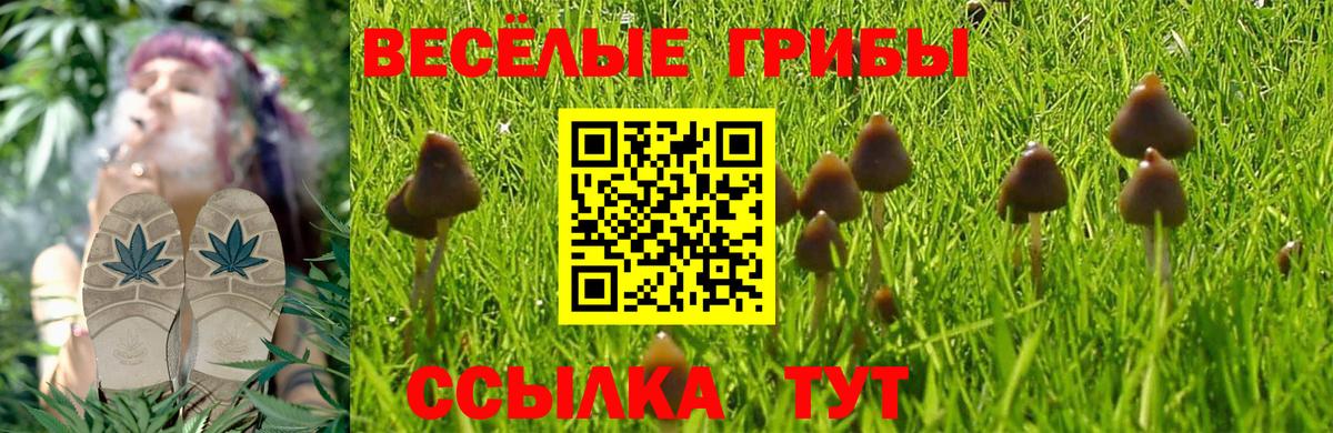 Псилоцибиновые грибы Magic Shrooms Донецк