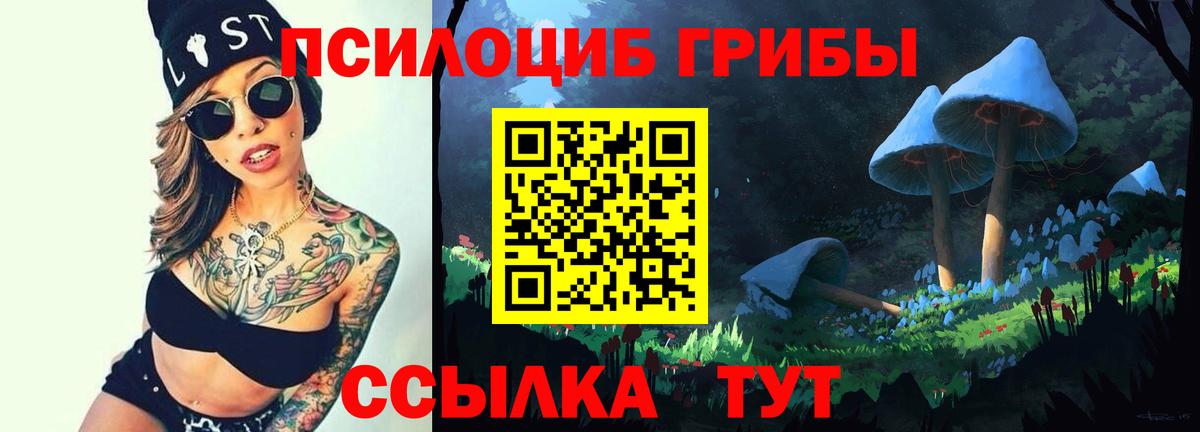 Донецк  Галлюциногенные грибы Cubensis  Вход с VPN 